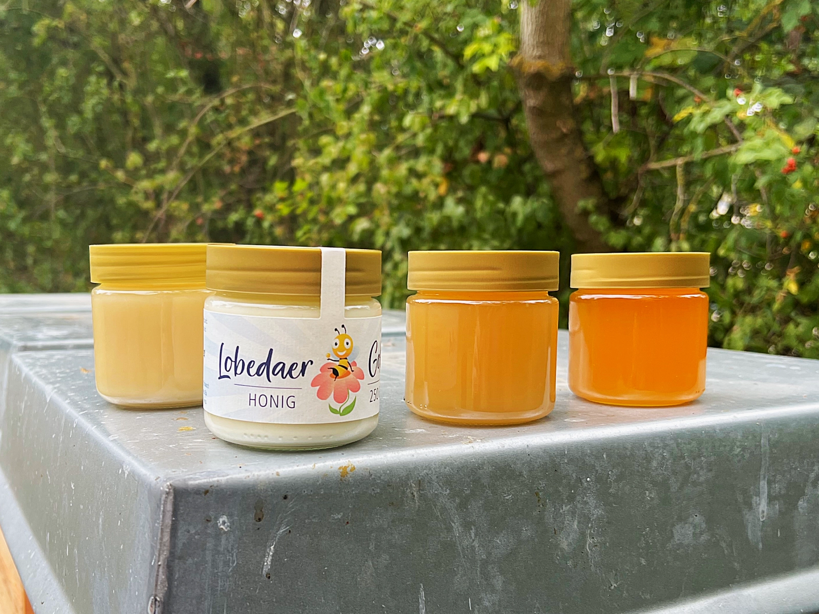 Honig aus Lobeda