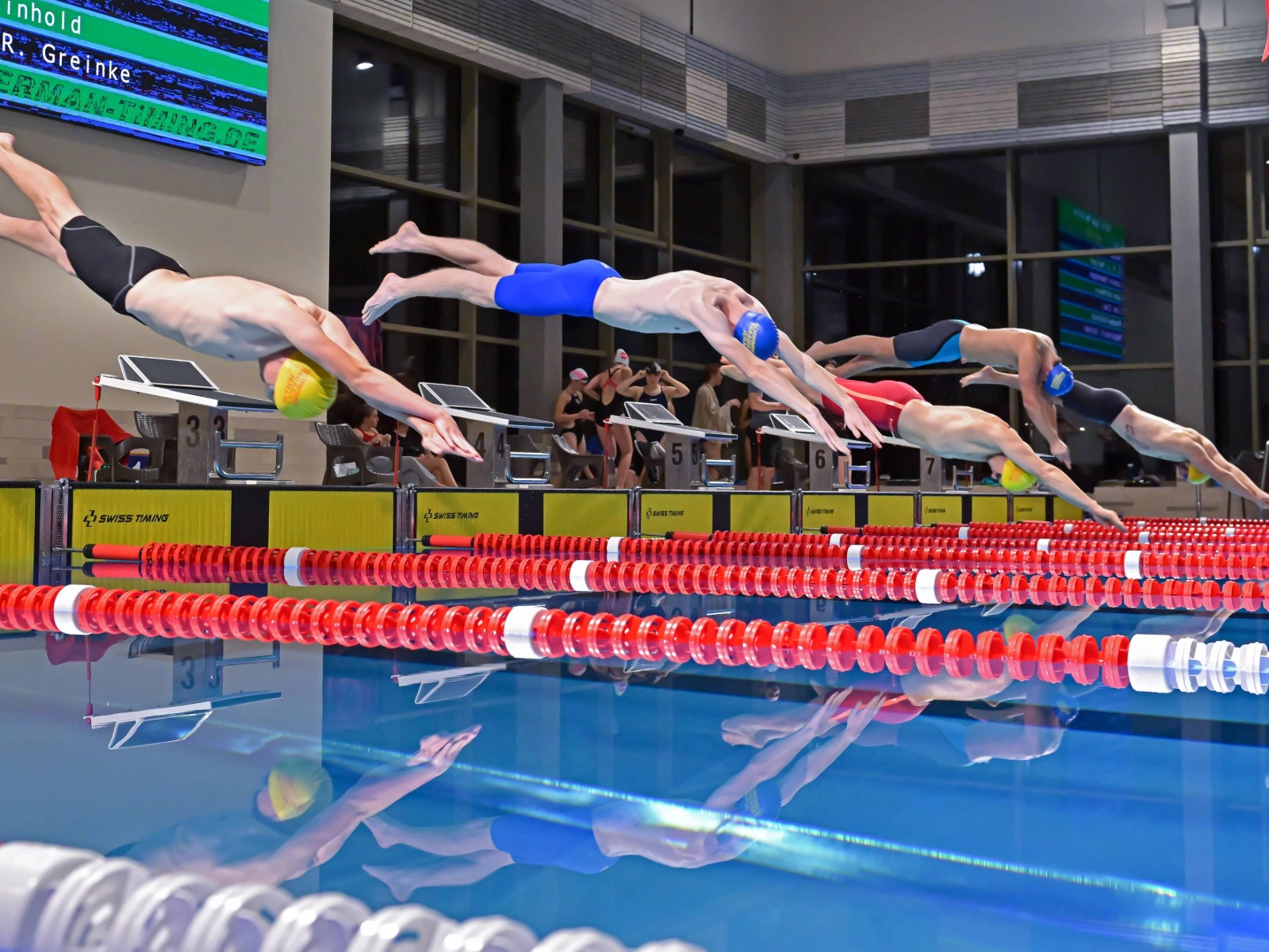 Personen springen von Startblöcken in ein Schwimmbecken 