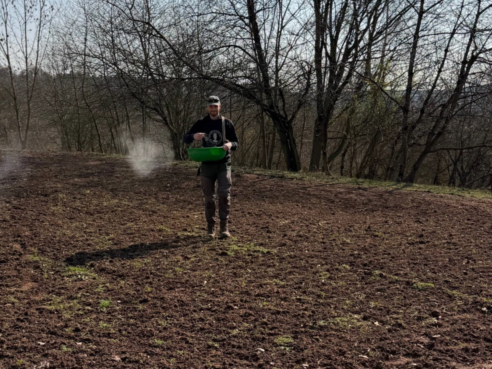 Aussaat auf einer Insektenwiese 