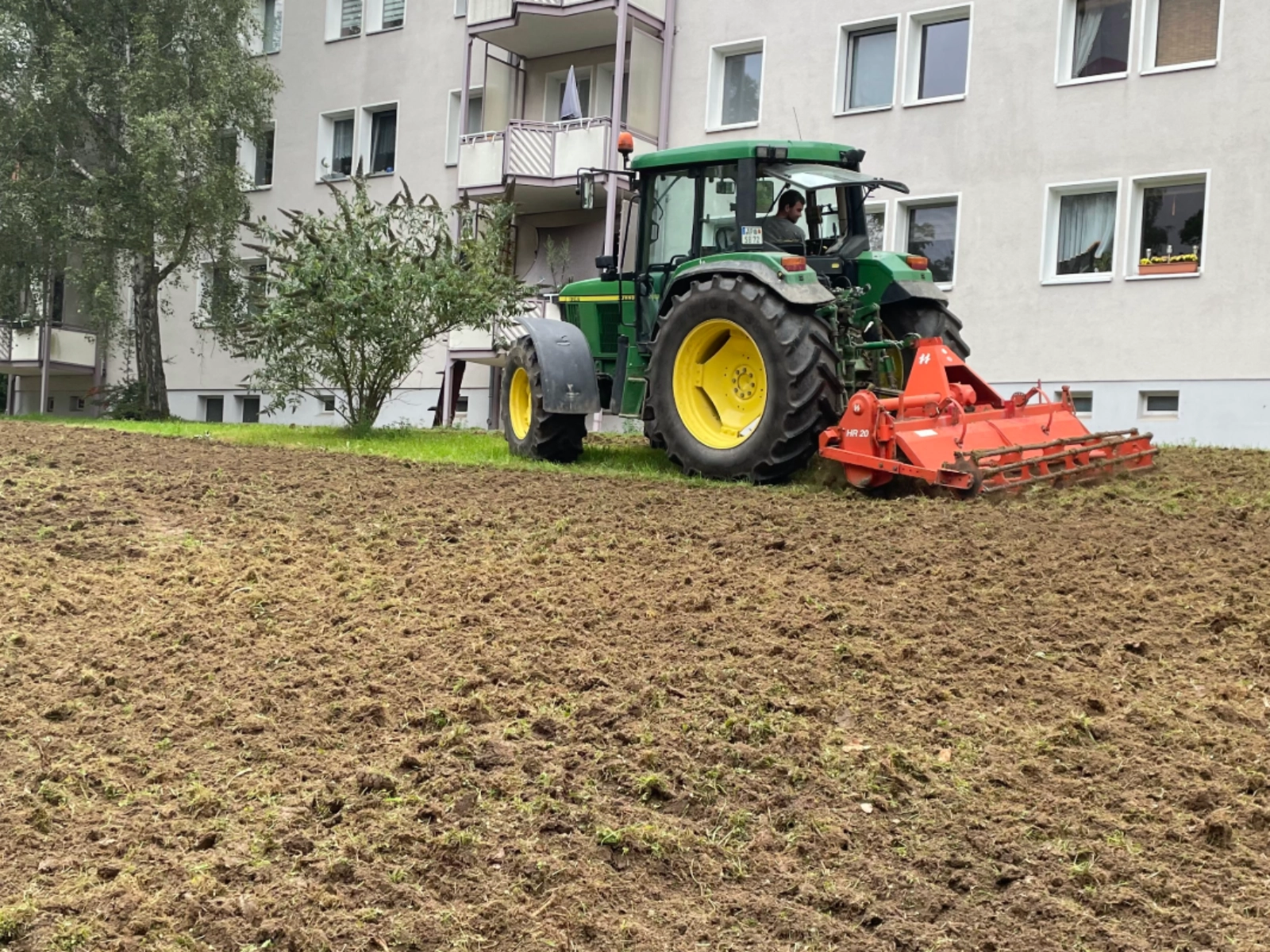 Anlegen einer neuen Insektenwiese