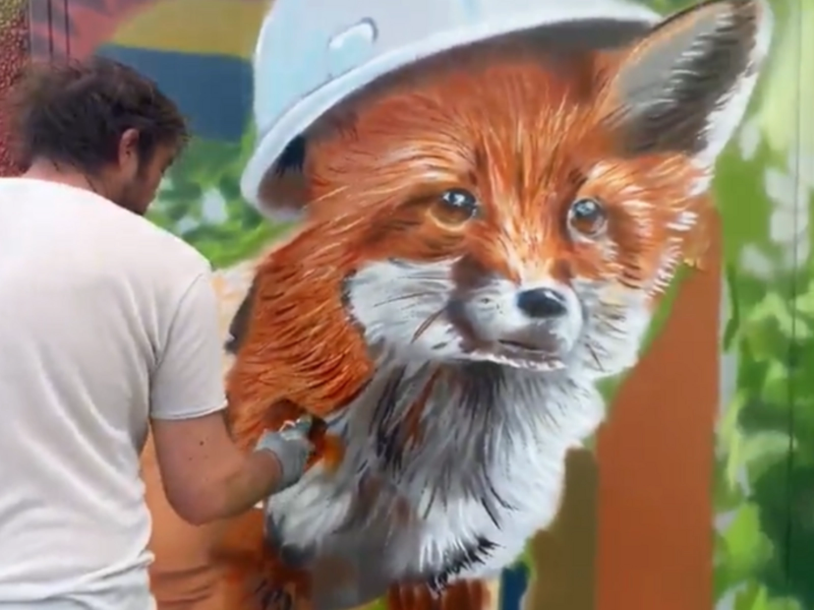 Ein neugieriger Fuchs, der von der Bundesstraße B7 ins Wohngebiet Fuchslöcher blickt.