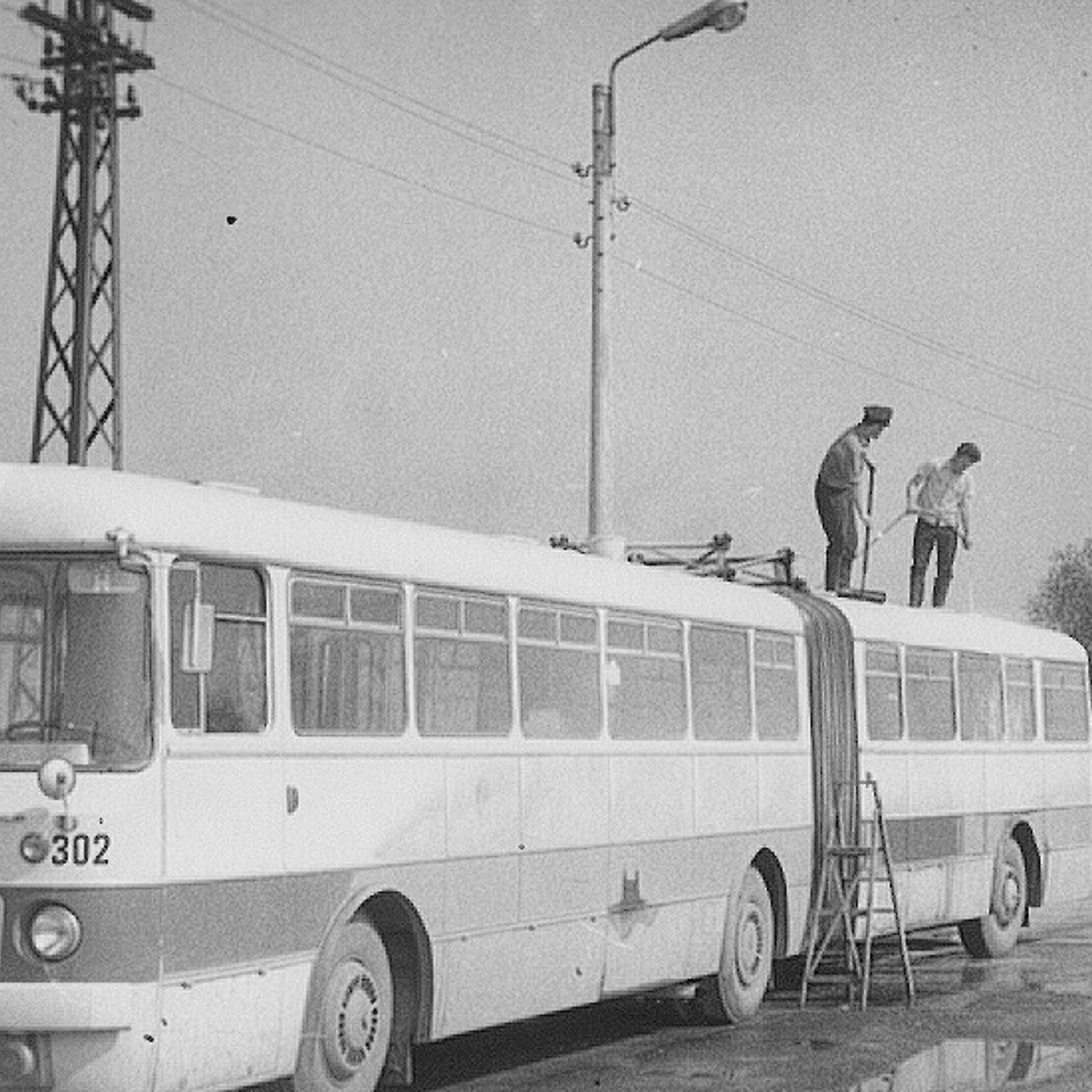 Ikarus-Bus 302 wird von Hand gewaschen 1970. 