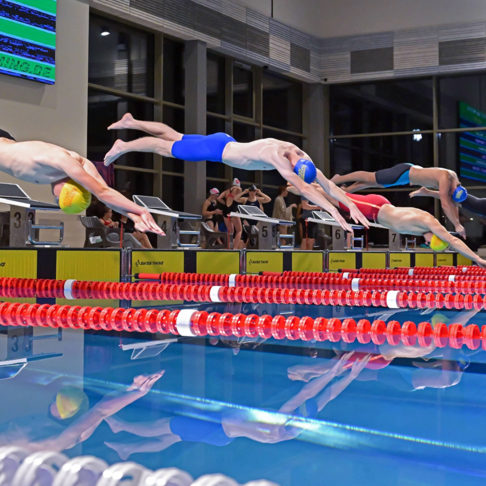 Personen springen von Startblöcken in ein Schwimmbecken 
