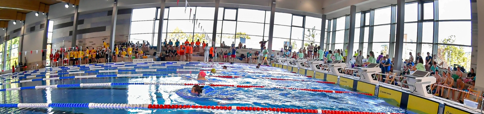 Die Sportschwimmhalle Schwimmparadies Jena, Sportbecken während eines Wettkampfs