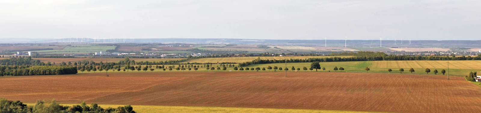 Luftbild Umland Jena