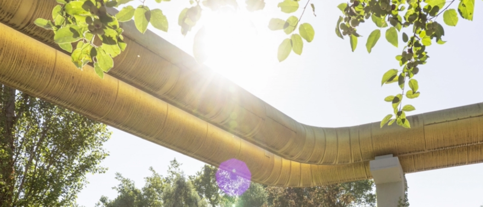 Adern von Jena GoldenGate