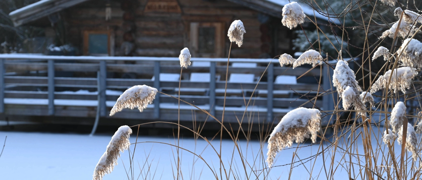 Verschneiter Saunagarten des GalaxSea. 