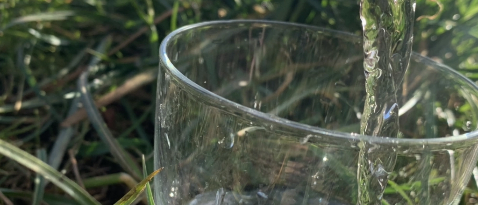 Ein Wasserglas wird befüllt