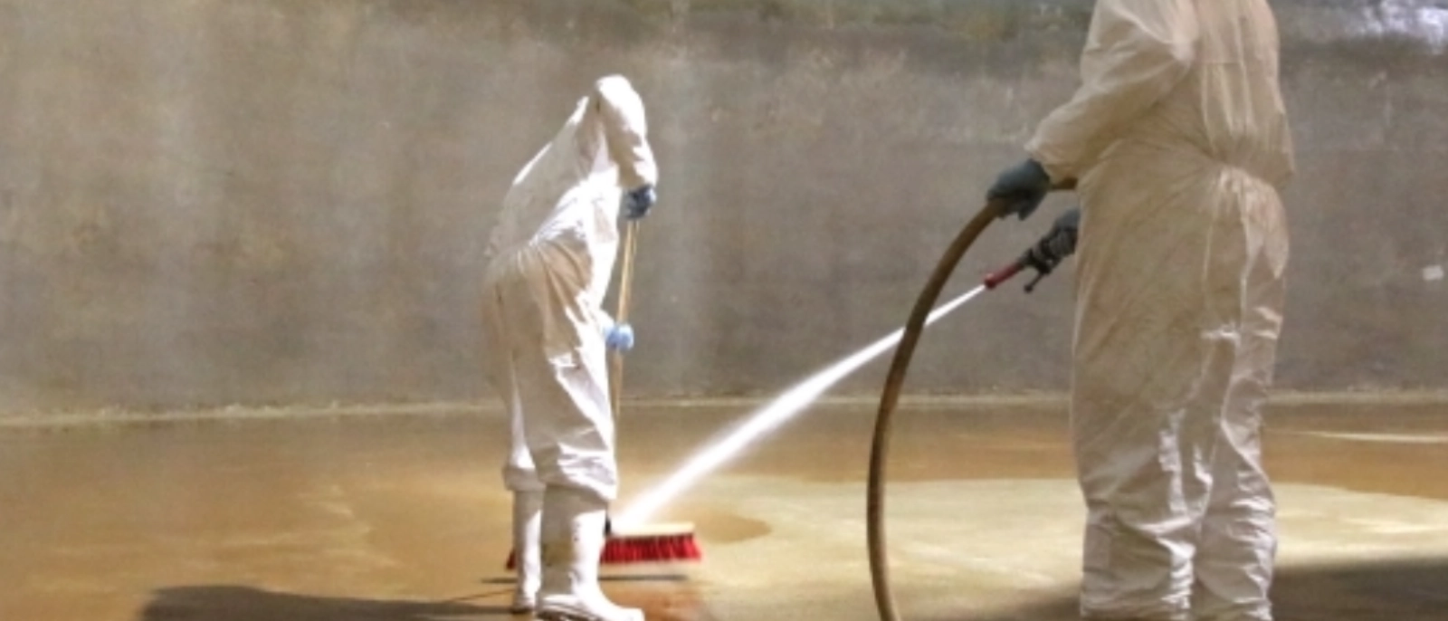 Mit Schrubber und Schlauch in die „Unterwasserwelt“