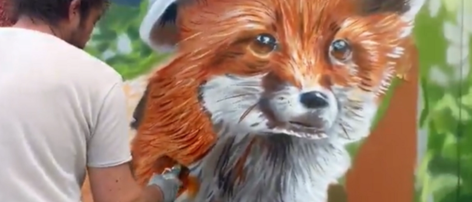 Ein neugieriger Fuchs, der von der Bundesstraße B7 ins Wohngebiet Fuchslöcher blickt.