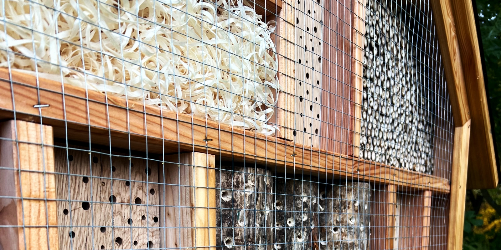 Nahaufnahme eines Insektenhotels