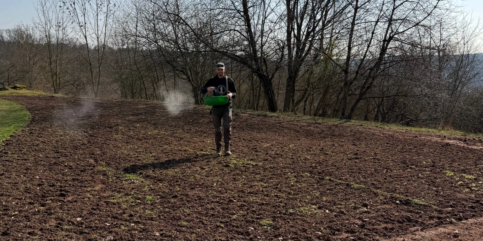 Aussaat auf einer Insektenwiese 