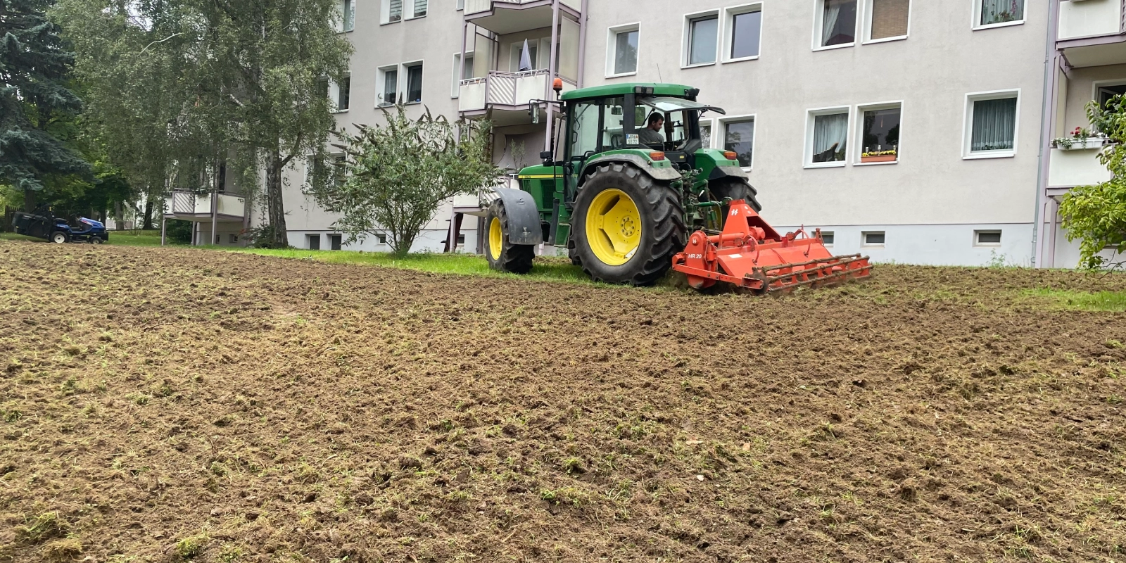 Anlegen einer neuen Insektenwiese