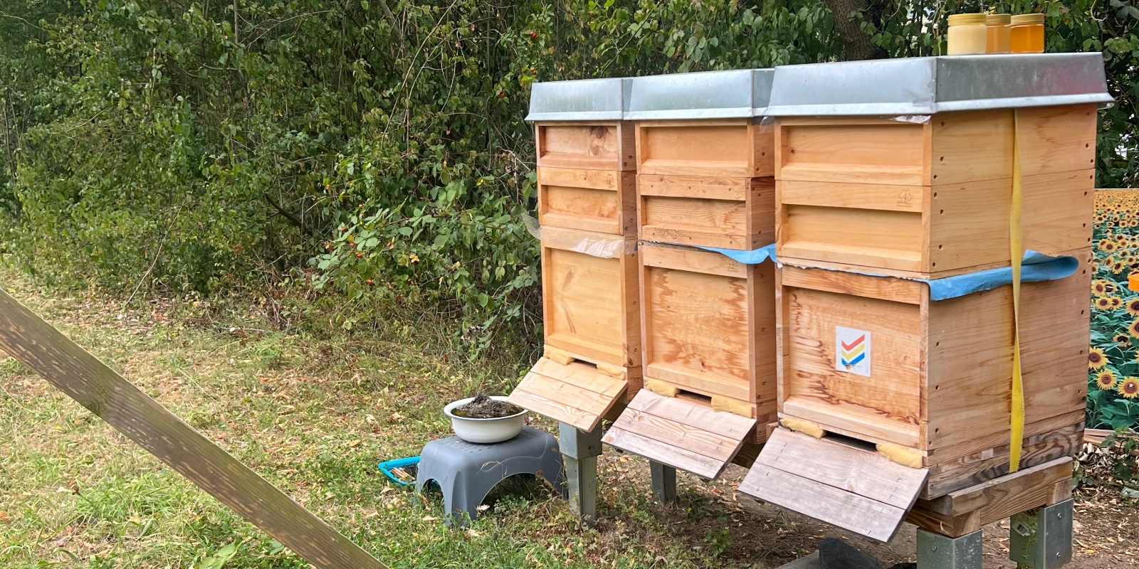 jenawohnen Bienenstöcke