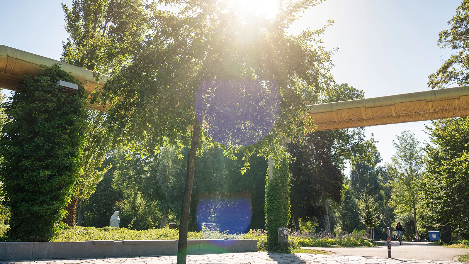 Ein goldenes Fernwärmerohr, im Hintergrund Sonne, im Vordergrund ein Baum. 