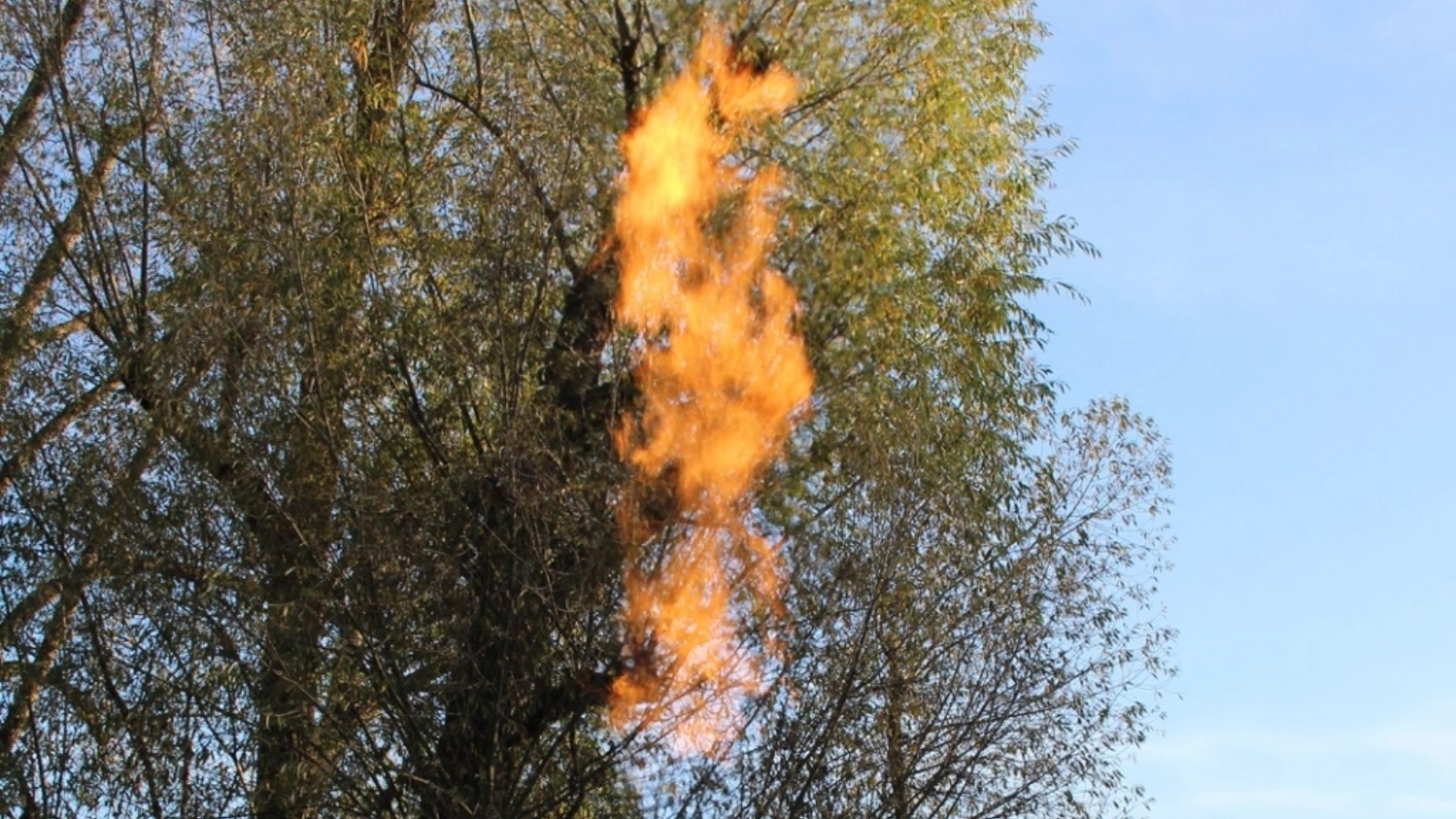 „Gasfrei!“ Das hatte es mit der riesigen Gasflamme im Paradies auf sich