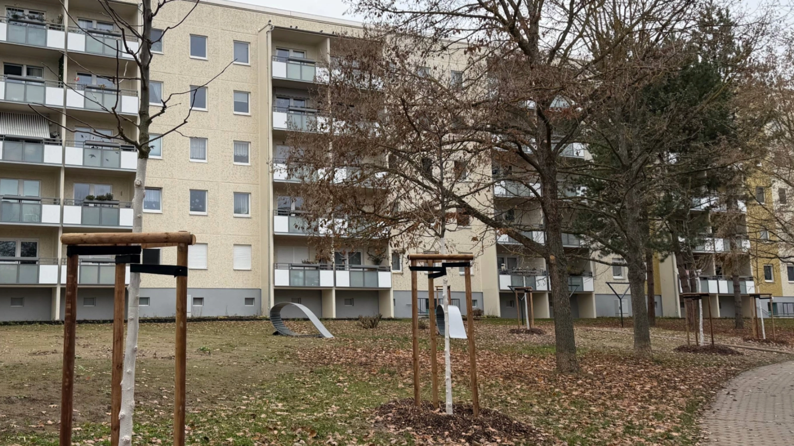 Baumbepflanzung in den Quartieren: Winzerla