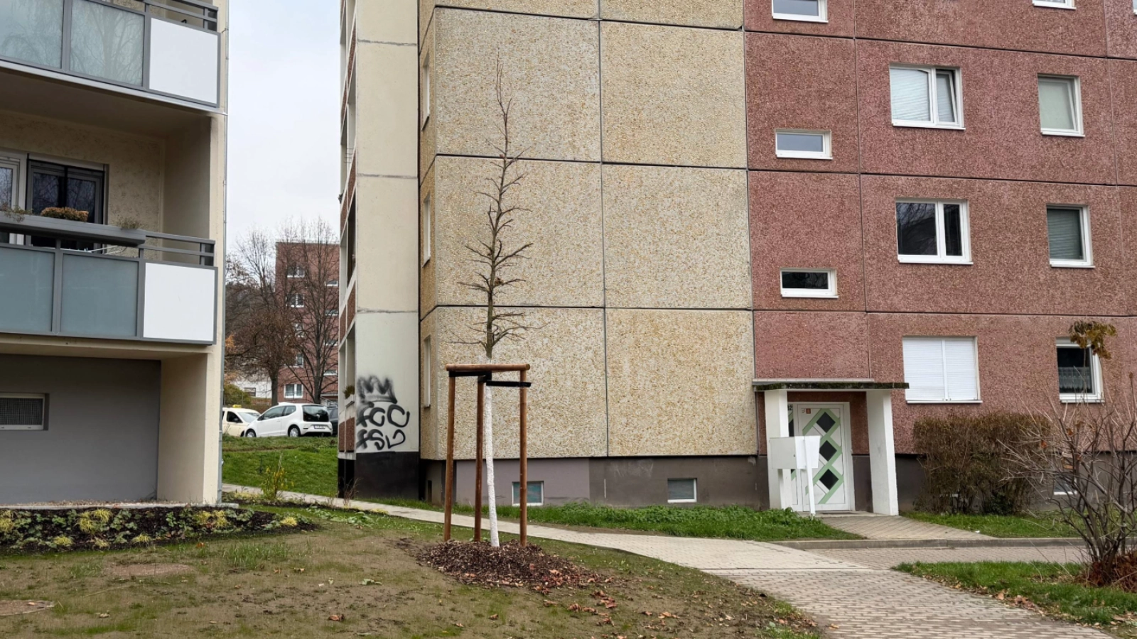 Baumbepflanzung in den Quartieren: Winzerla