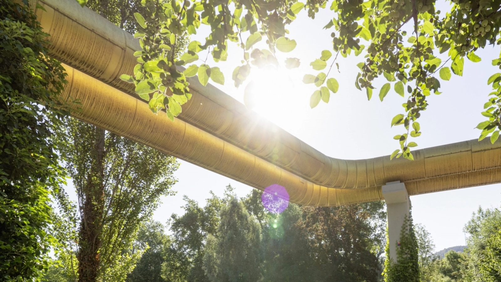 Adern von Jena GoldenGate