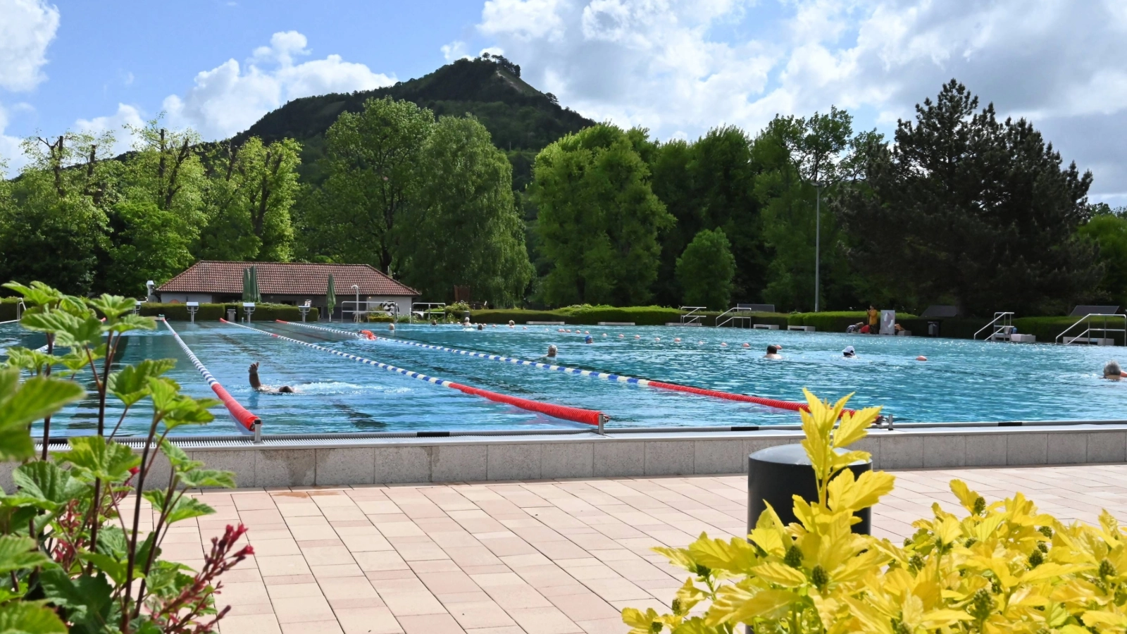 Seit über 70 Jahren ist das Ostbad ein fester Bestandteil des Jenaer Sommers - und trotzdem kein bisschen angestaubt. Idyllisch gelegen, mit Blick auf den Jenzig und in Laufnähe zur Saale-Horizontale, lädt das Freibad zum Schwimmen, Entspannen und Zusammensein ein. 