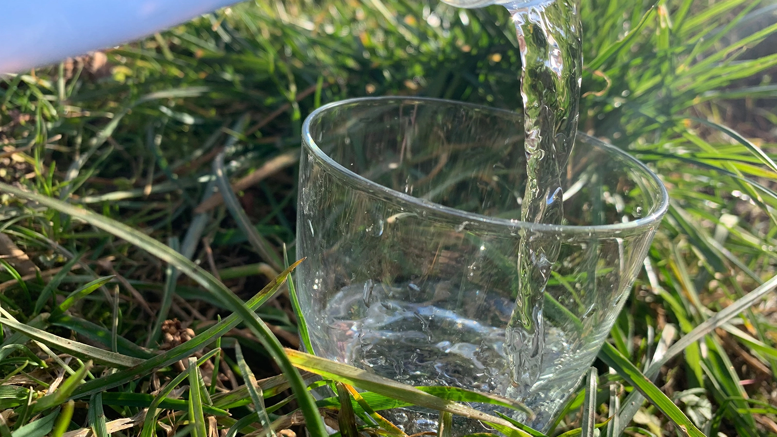 Symbolbild Wasserglas im Grünen
