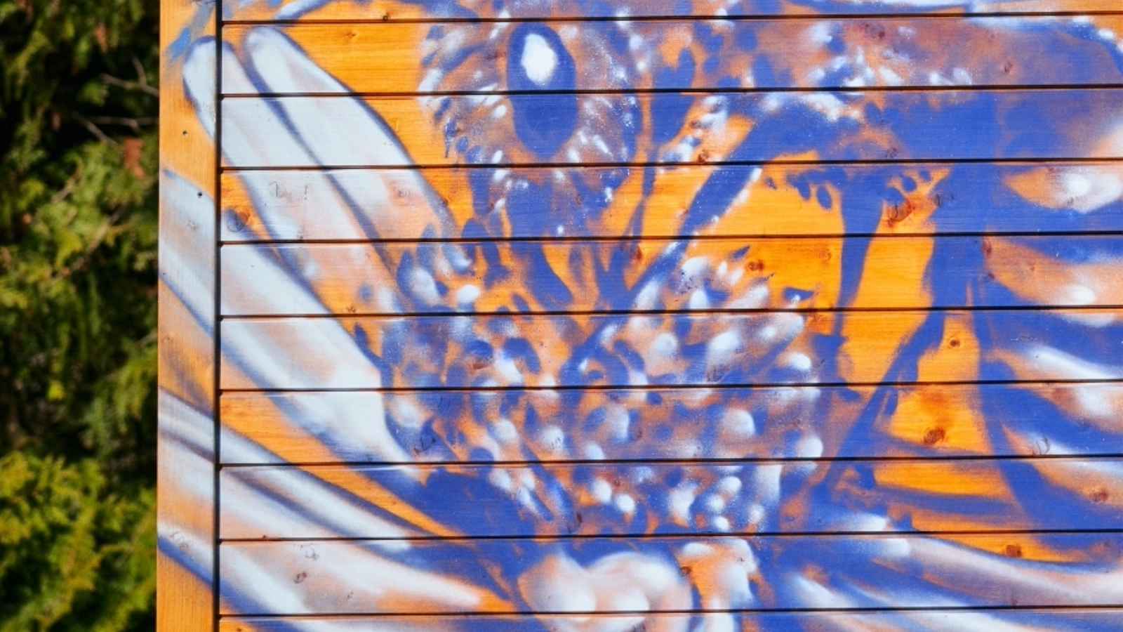 Außen bunt bemalt, innen ein Ort des Forschens und Experimentierens.