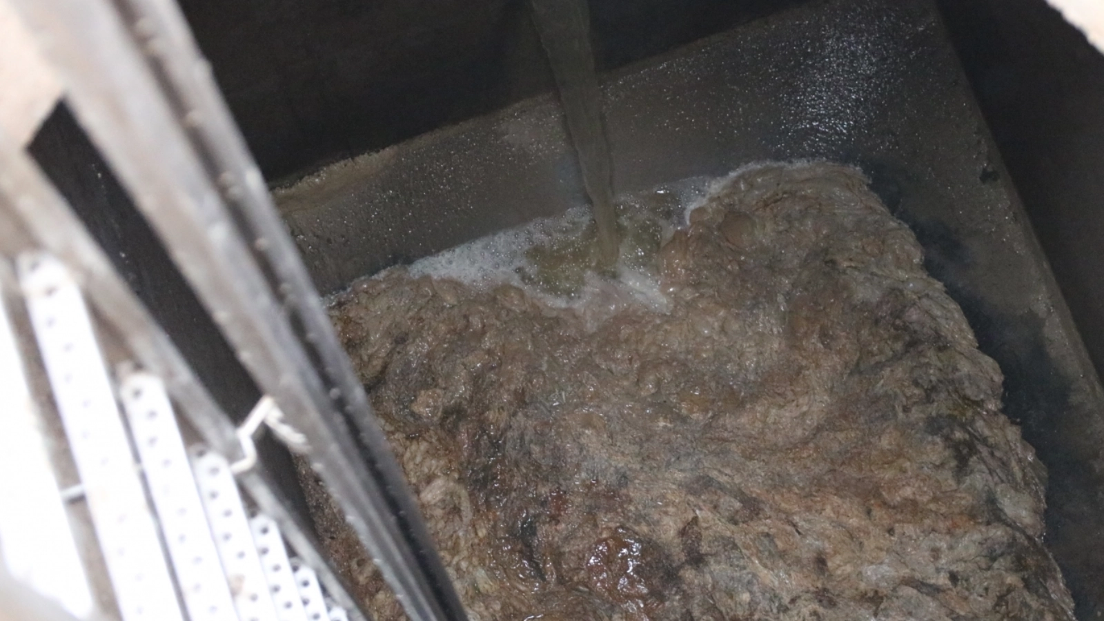 Zentimeterdicke Schwimmschlammdecke