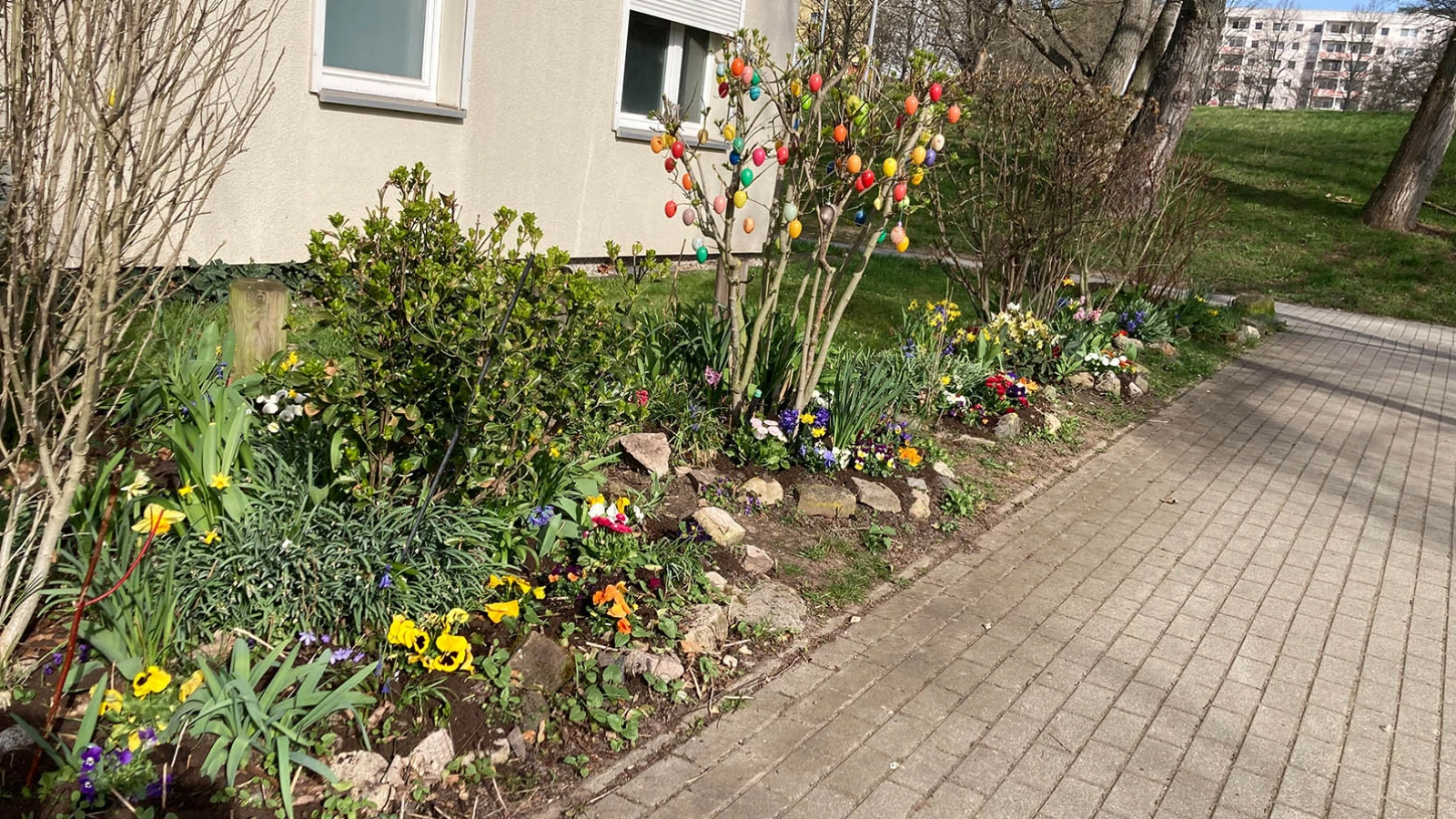Blumenbeet mit Frühblühern zu Ostern