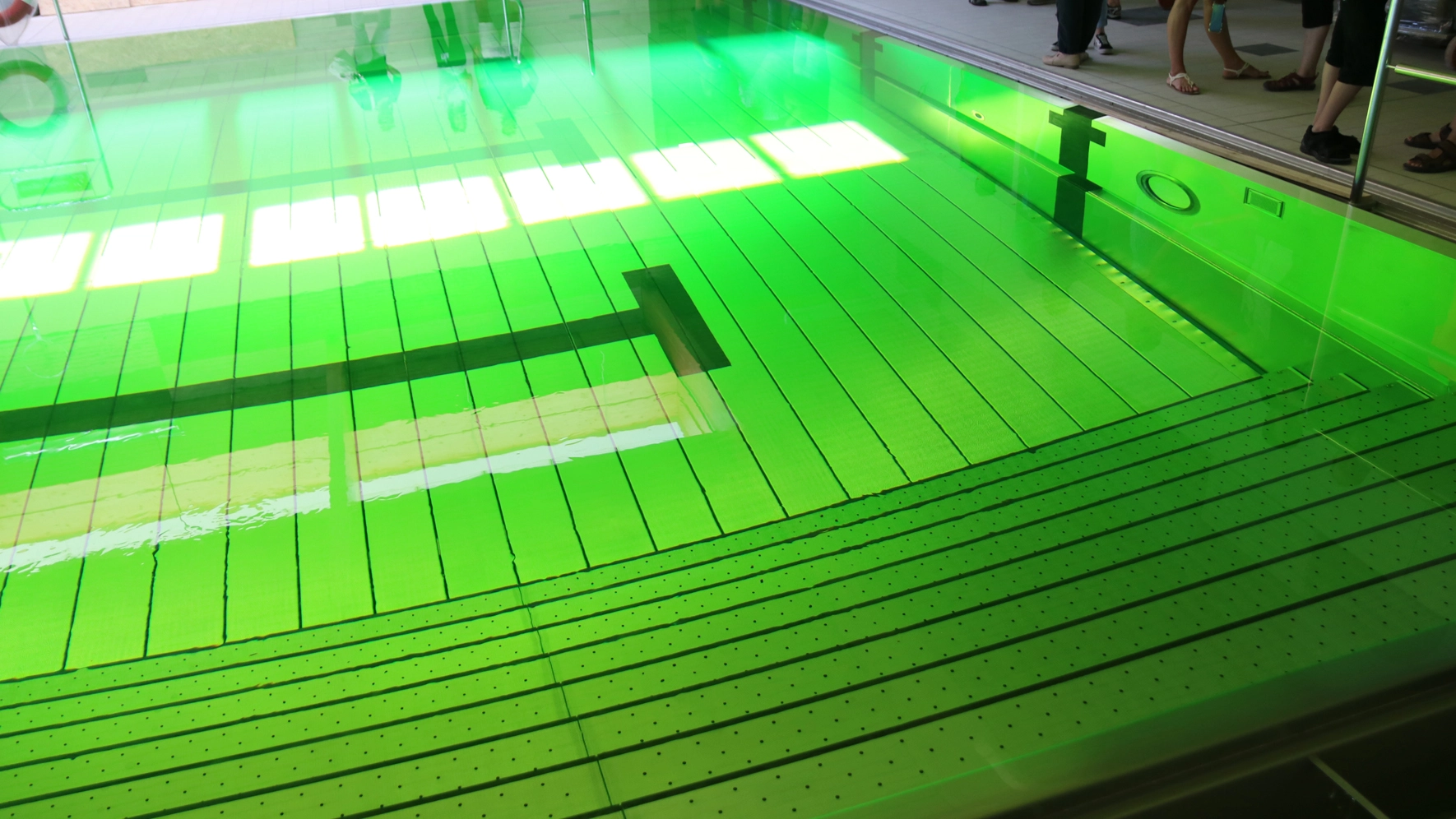 Färbetest in der Sportschwimmhalle Schwimmparadies Jena