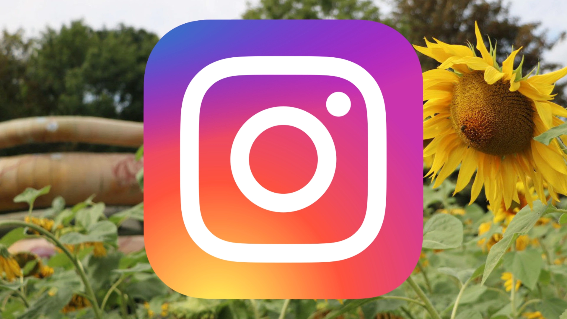 Instagram-Account der Stadtwerke Jena Gruppe