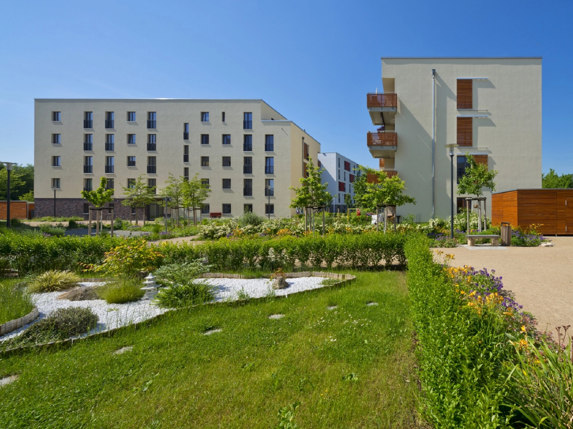 Immergrün Camburger Straße jenawohnen GmbH