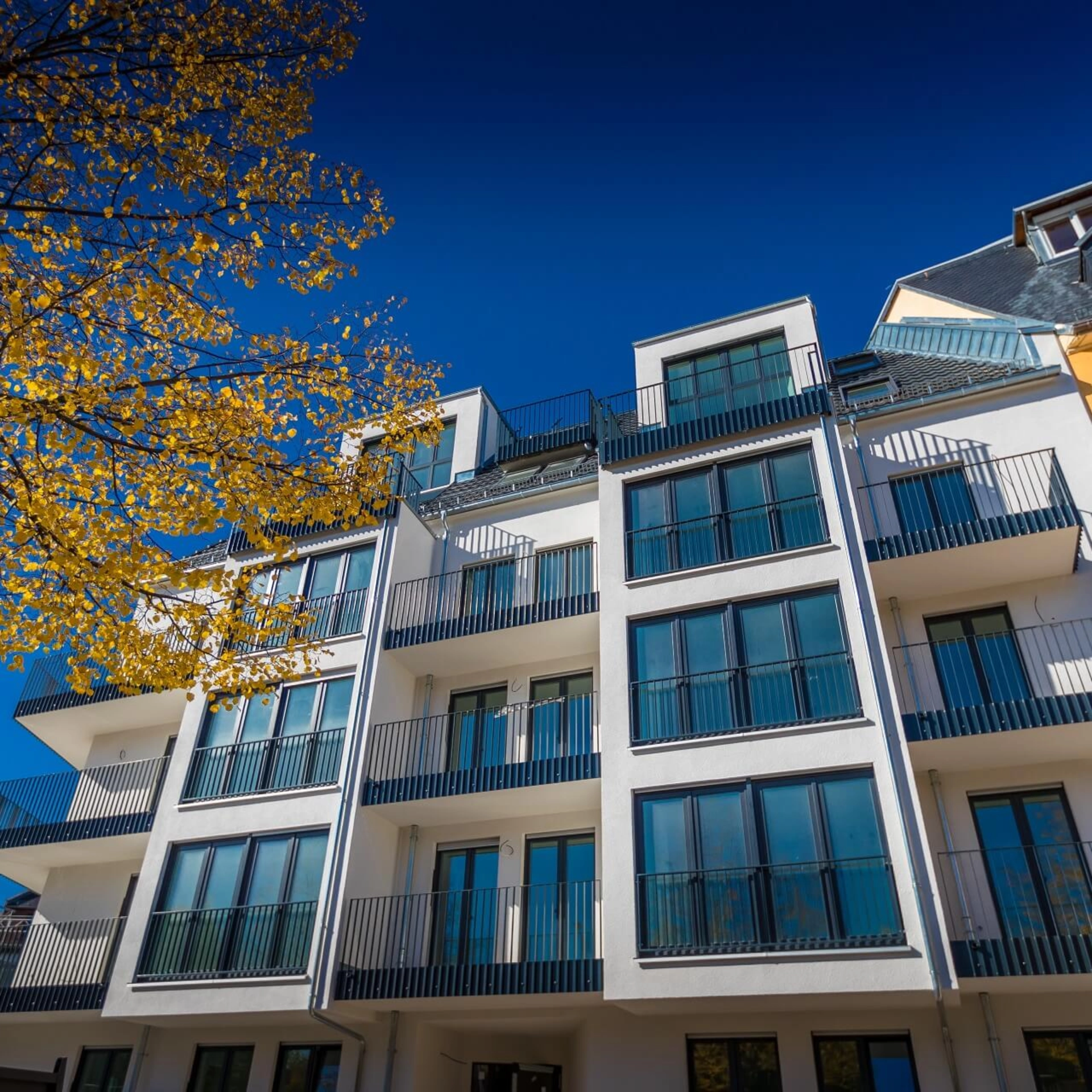 Wohnen am Paradies: Knebelstraße 7 in Jena