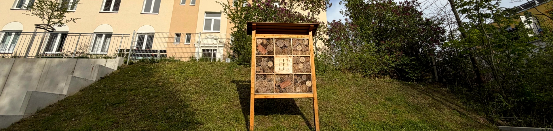 Unser Insektenhaus in der Felsenkellerstraße