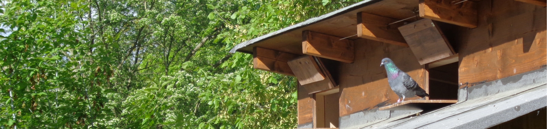 Taubenhaus in Jena Lobeda
