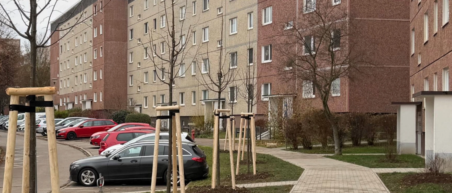 Baumbepflanzung in den Quartieren: Winzerla