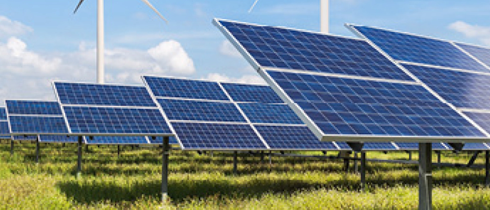 Eine Vielzahl von Solar-Modulen auf einer großen Wiese.