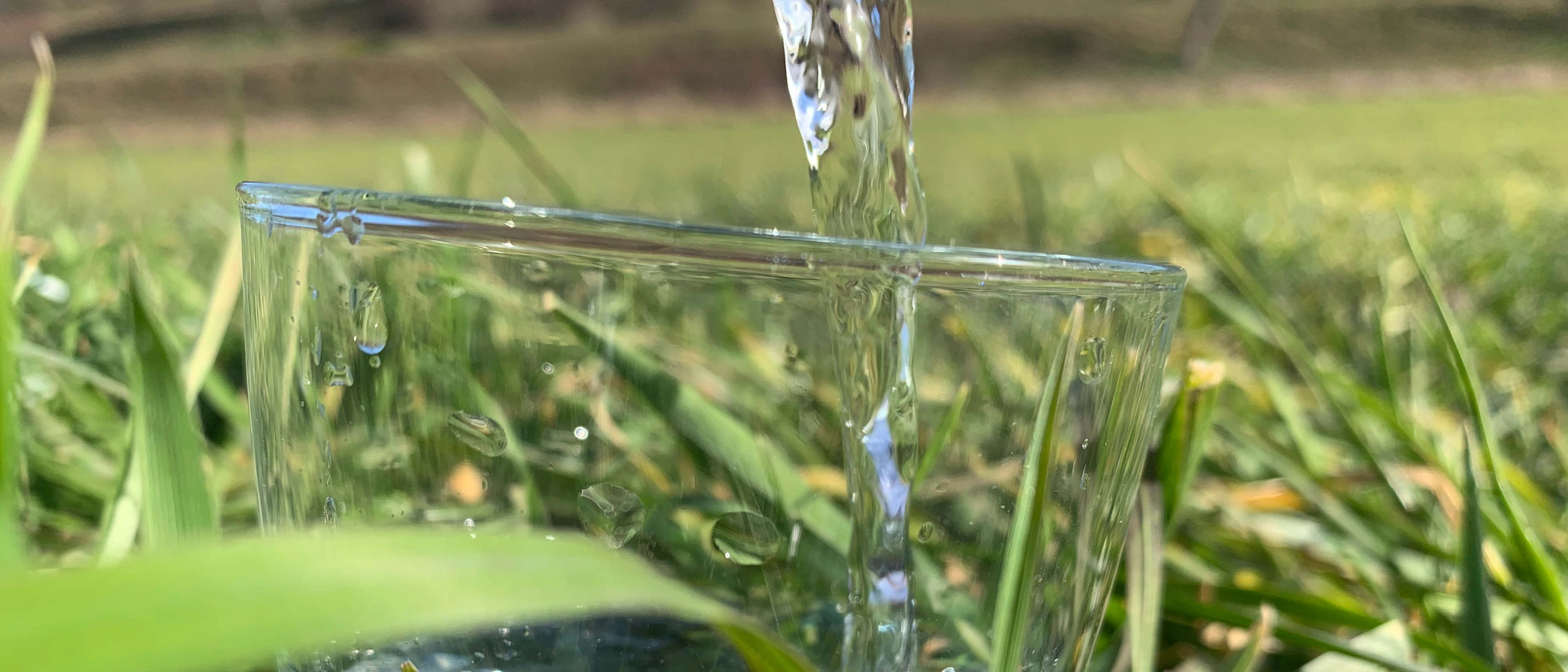 Wasserglas mit mit Wasser gefüllt und steht im Gras