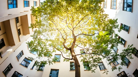 Baum und modernes Wohnhaus