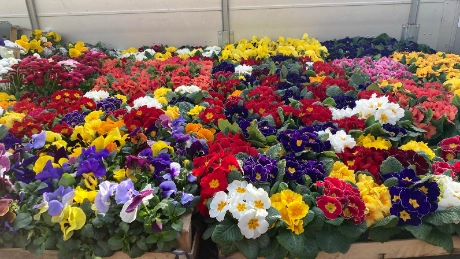 Spring awakening at jenawohnen