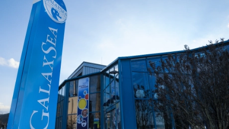 GalaxSea schließt am 17.12. bereits am Nachmittag 