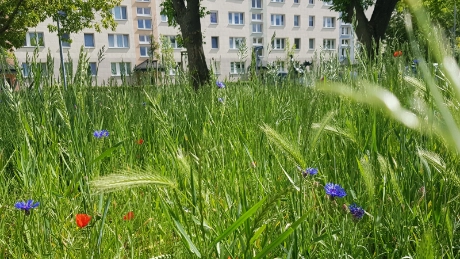Nachhaltigkeitsumfrage der Stadtwerke Jena erfolgreich abgeschlossen 