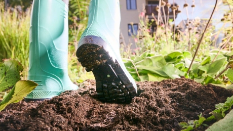 Apply now for the Children and Youth Environmental Award 2025!