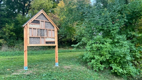 Neues Insektenhotel in Jena-Nord