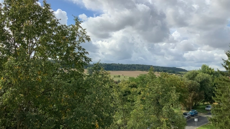 View of the countryside - 3-room apartment in Blankenhain with balcony