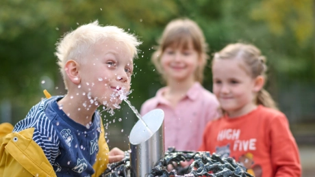 Drinking water - water hardness, ingredients & co.