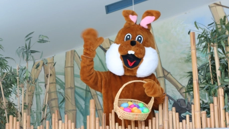 Colorful Easter vacations at GalaxSea: fun and action for schoolchildren