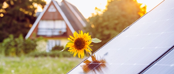 Solar Modul Solar Modul