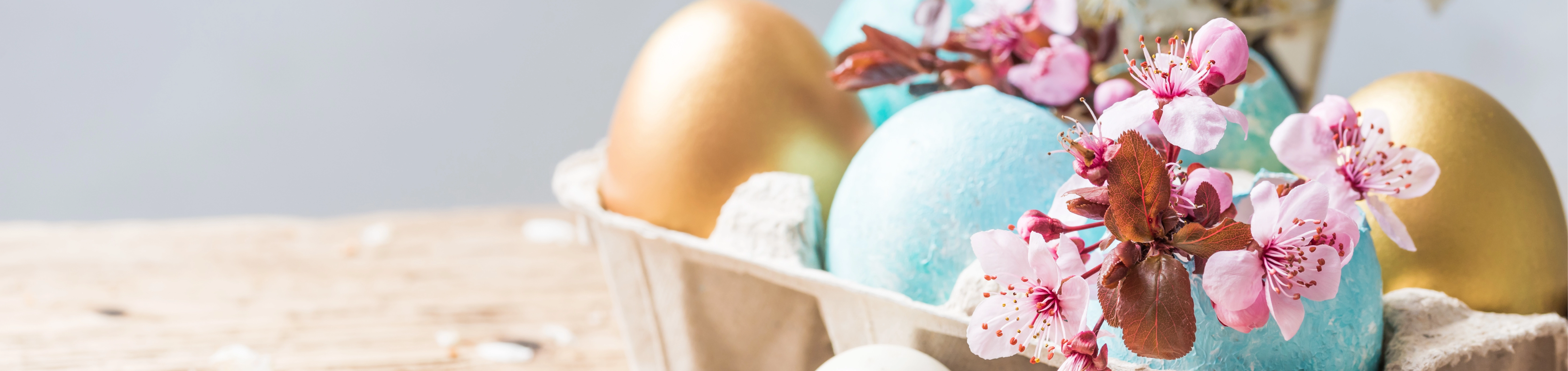Ostereier in Eierbox mit Kirschblütenzweig