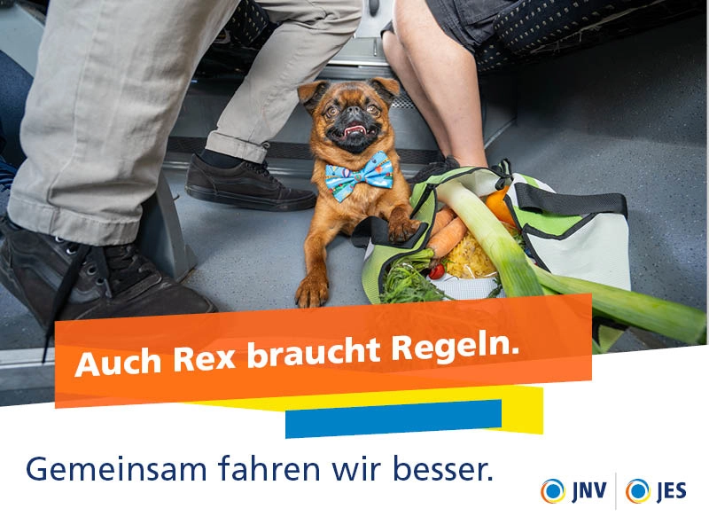 Ein Hund sitzt im Bus neben einem Einkaufsbeutel.