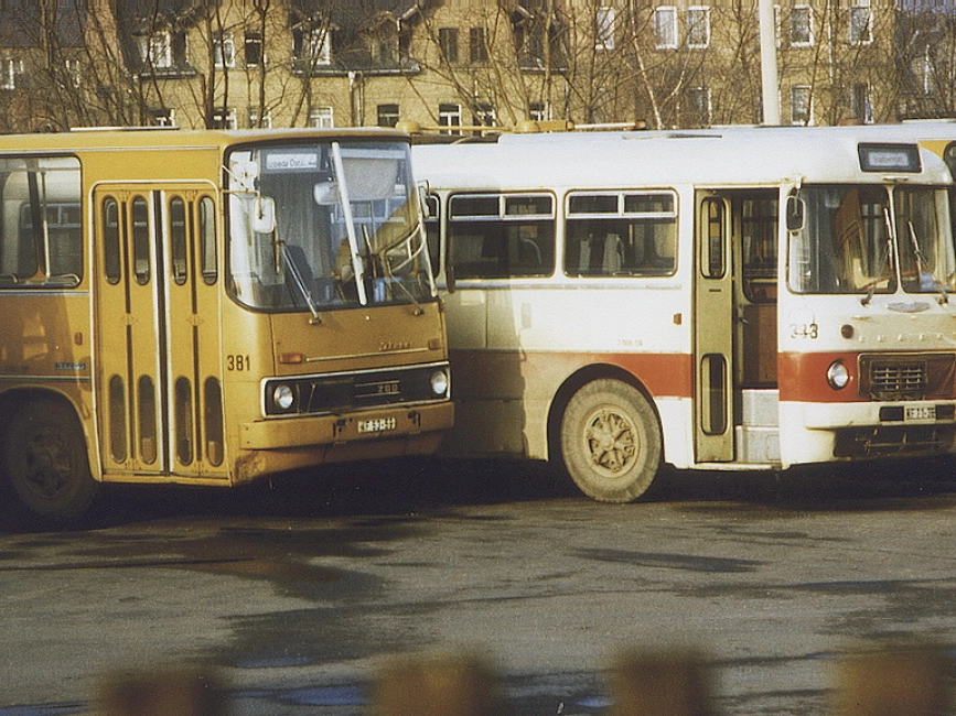 Ikarus-Bus 381 und 333 am 19.12.1982.